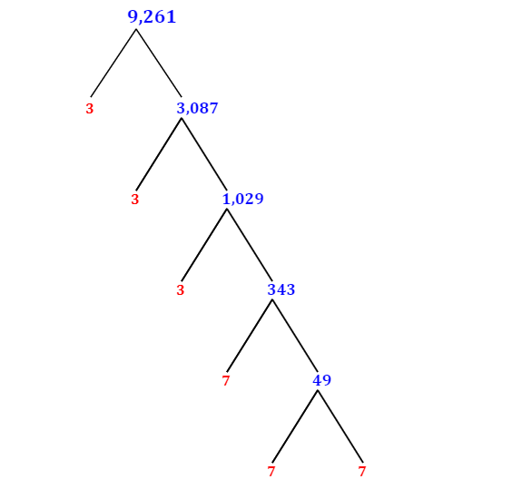 prime-factorization-of-9-261-with-a-factor-tree-mathondemand